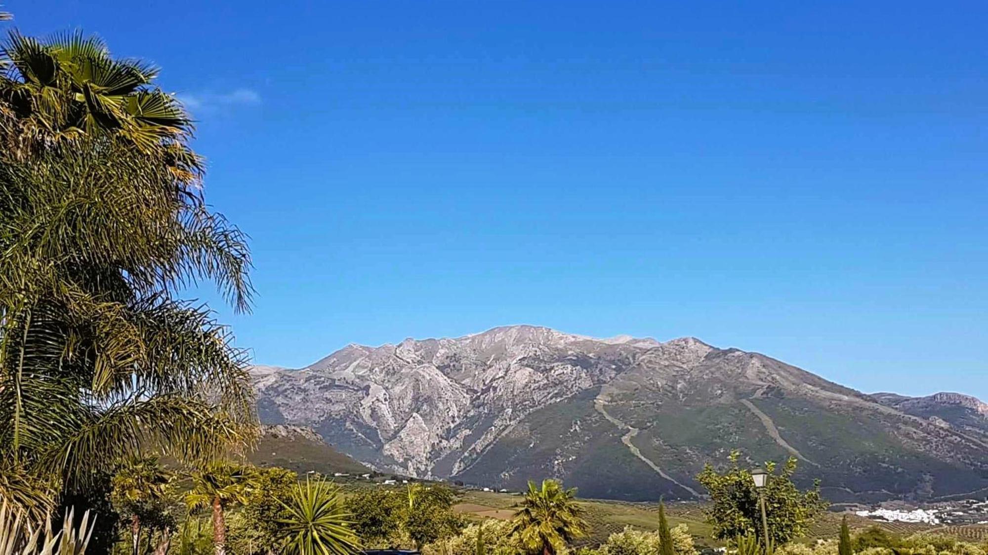 Casa Shyshka Country Cottage Periana Dış mekan fotoğraf