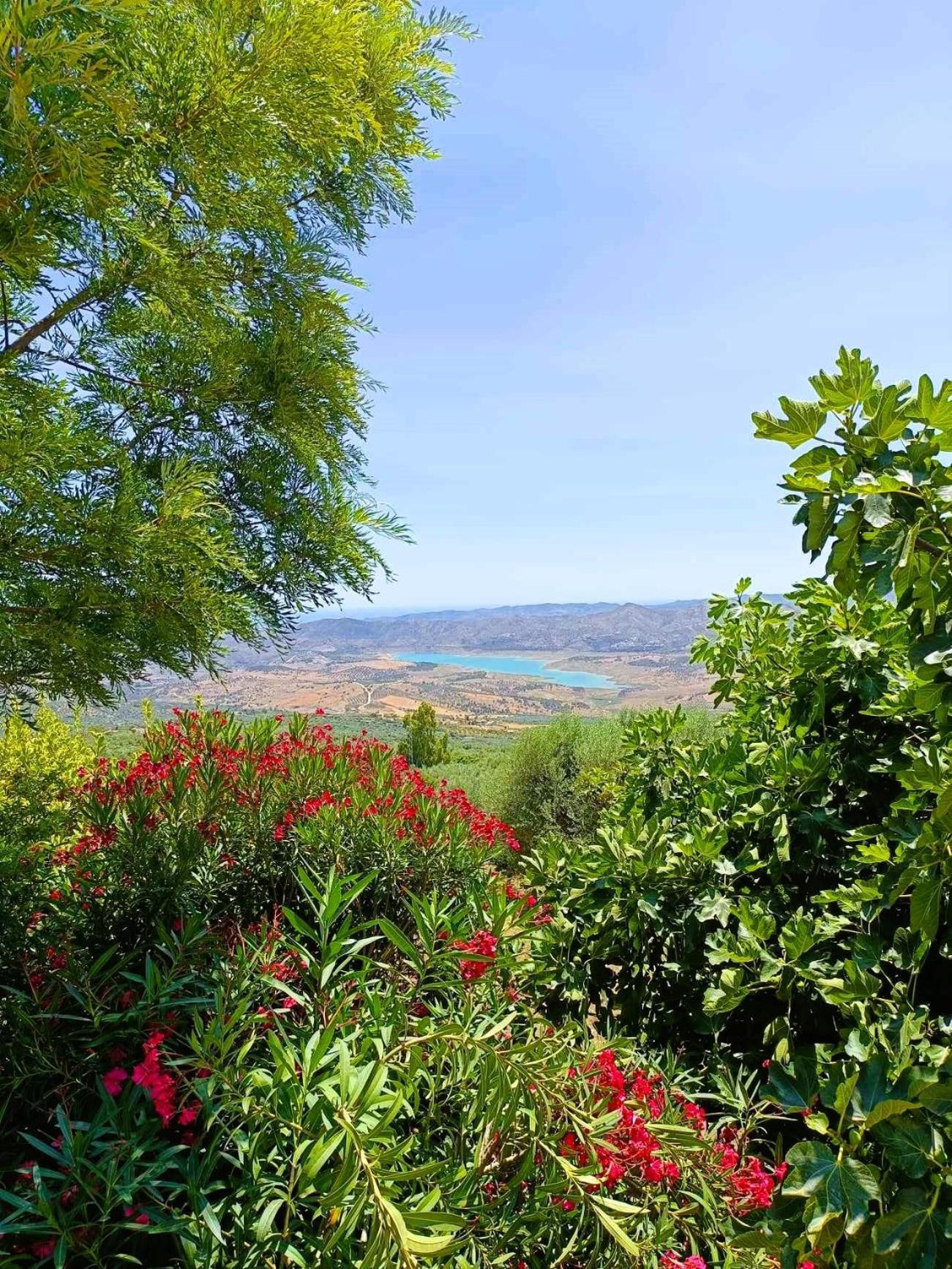 Casa Shyshka Country Cottage Periana Dış mekan fotoğraf