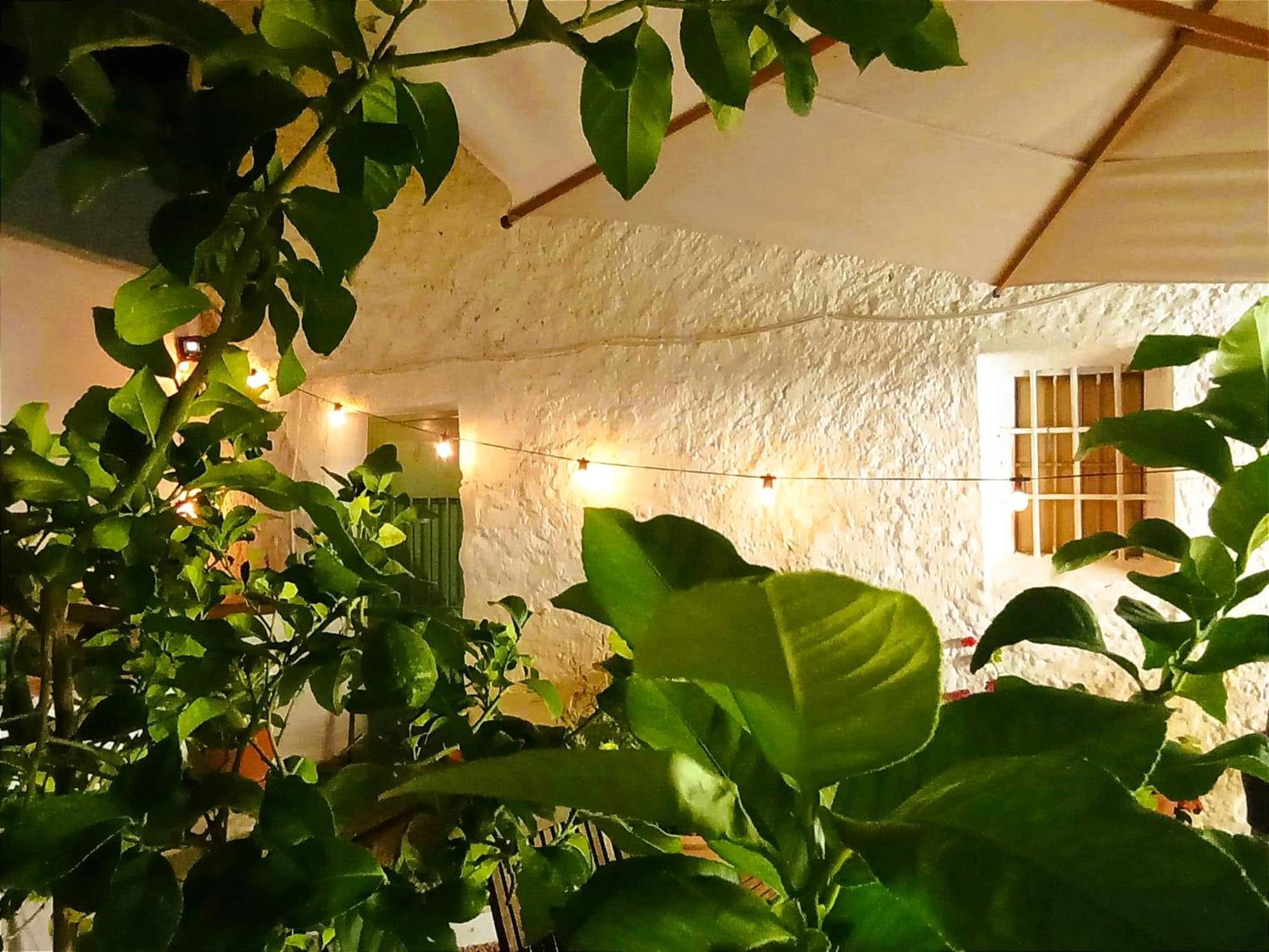 Casa Shyshka Country Cottage Periana Dış mekan fotoğraf