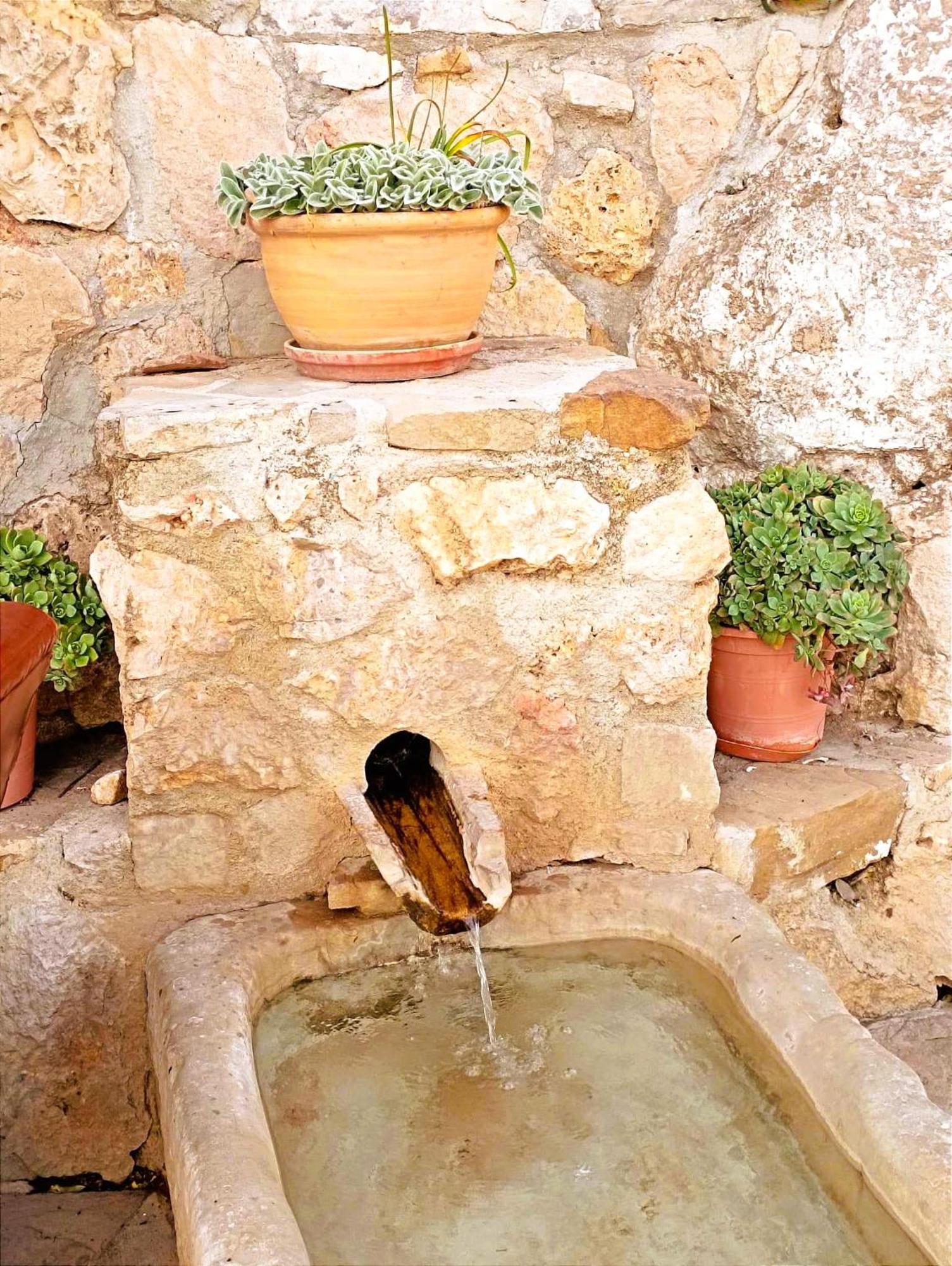 Casa Shyshka Country Cottage Periana Dış mekan fotoğraf